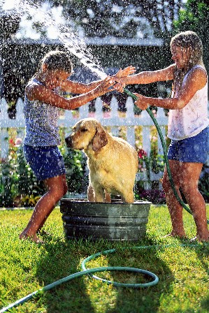 Dog+pictures+to+print+out